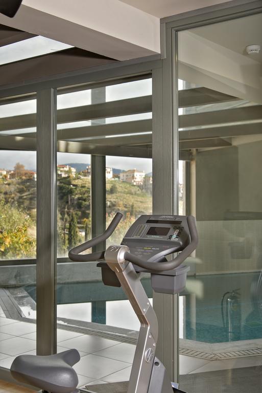 Aegli Arachova Hotel Kültér fotó